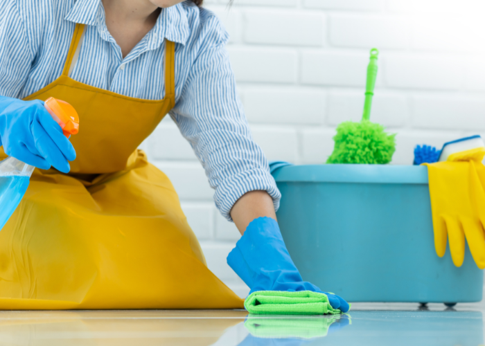 Professional Home Maid Services